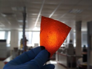 A triangular orange object held by someone wearing blue gloves. The background is a laboratory.